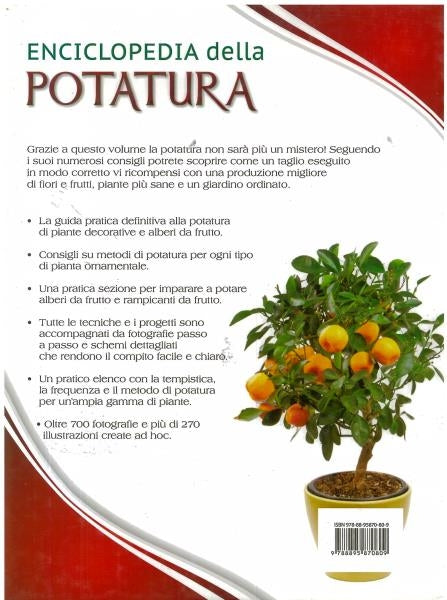 ENCICLOPEDIA DELLA POTATURA