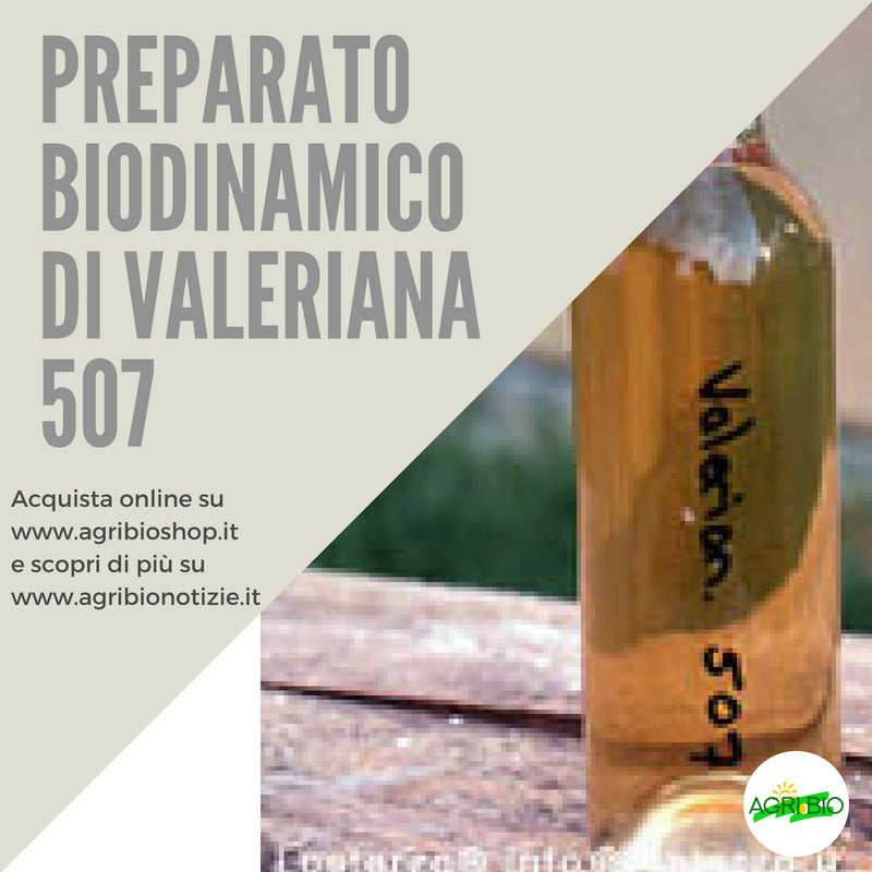 507 PREPARATO ALLA VALERIANA