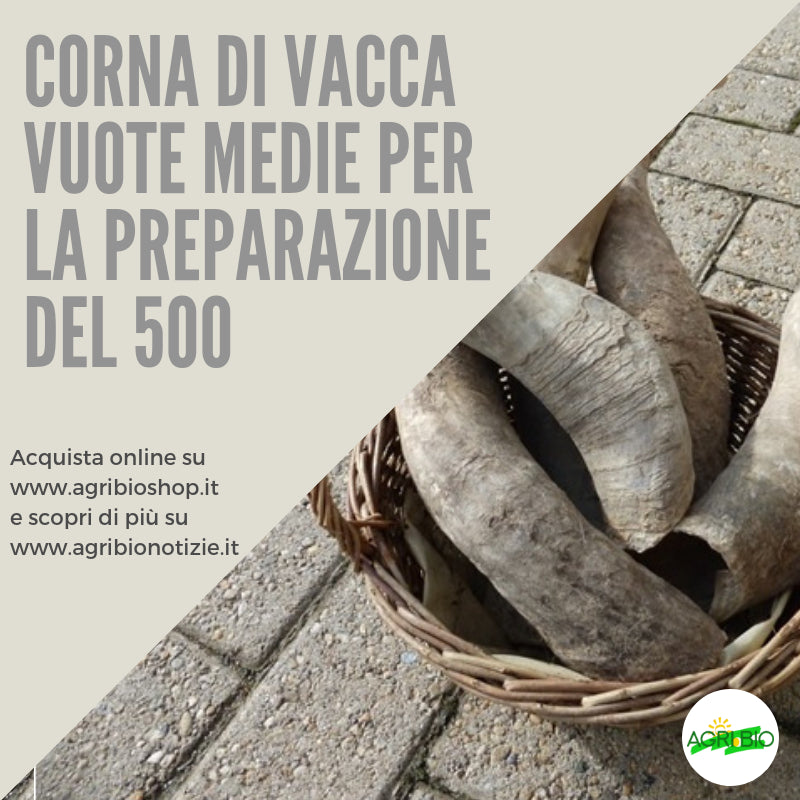 CORNA VUOTE PER 500