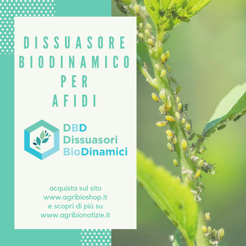 Dissuasore BioDinamico per Afide - 1L