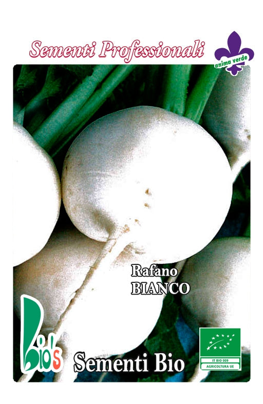 RAFANO BIANCO ROTONDO DI MILANO - BIOSEME 3551