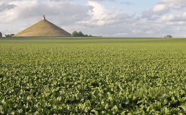 SOVESCIO 'PK-VIGOR' PER TERRENI CON CARENZA DI HUMUS