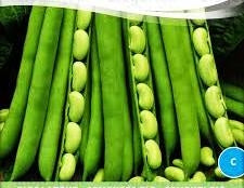 FAGIOLO FLA DEUX - SATIVA bo17