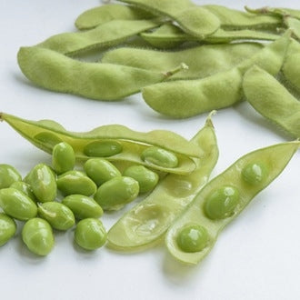 BUSTA SEMI BIO SOIA EDAMAME SUMMER SHELL - SATIVA bo96