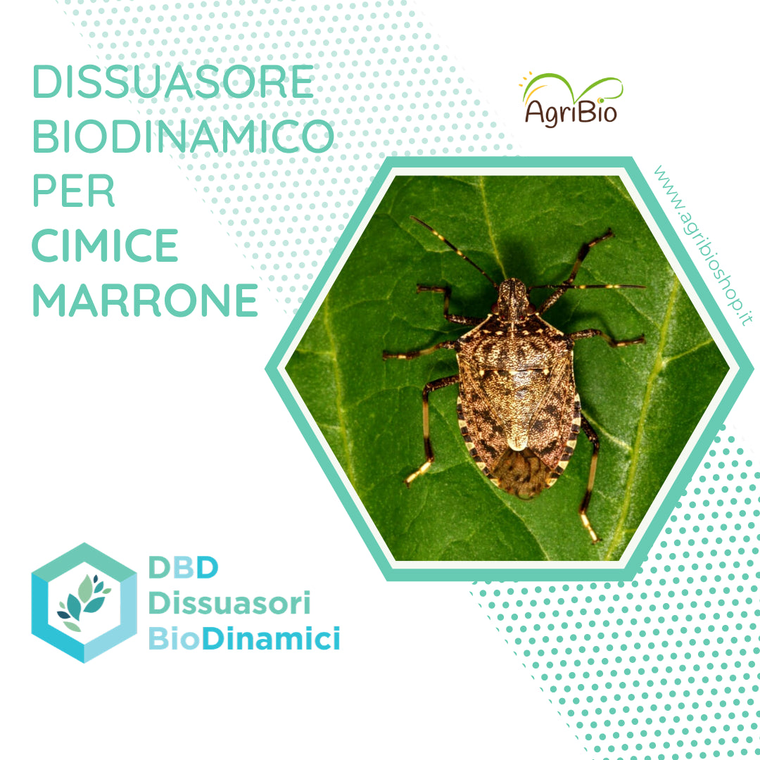 Dissuasore per Cimice marrone- 1L