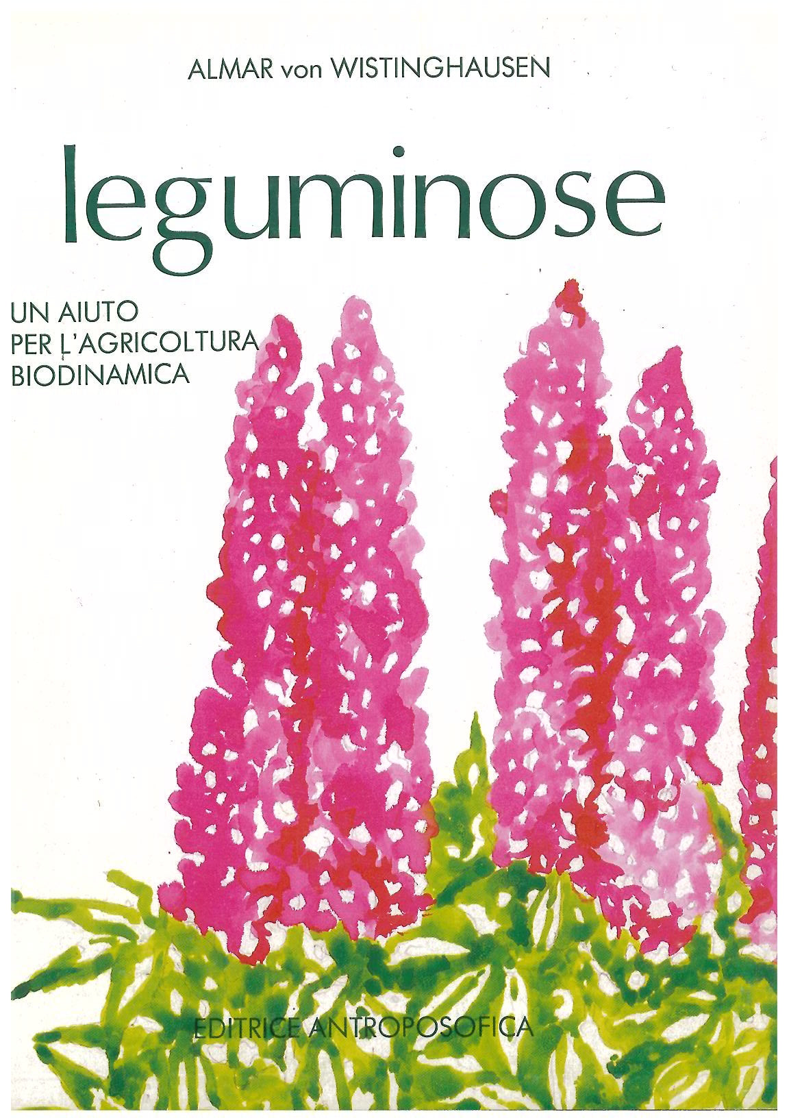 Leguminose - von Wistinghausen A.
