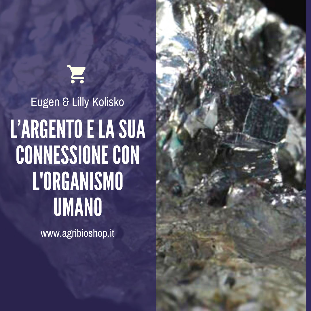 L’ARGENTO E LA SUA CONNESSIONE CON L'ORGANISMO UMANO