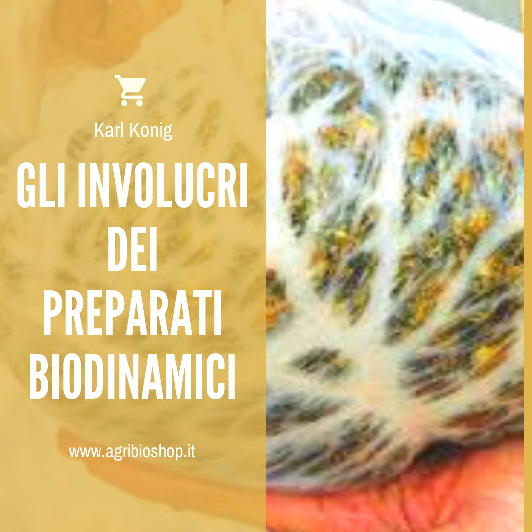 GLI INVOLUCRI DEI PREPARATI BIODINAMICI 