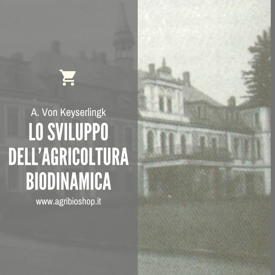 LO SVILUPPO DELL’AGRICOLTURA BIODINAMICA
