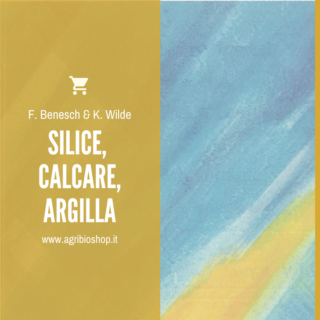 SILICE, CALCARE, ARGILLA - F. Benesch & K. Wilde