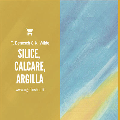SILICE, CALCARE, ARGILLA - F. Benesch & K. Wilde