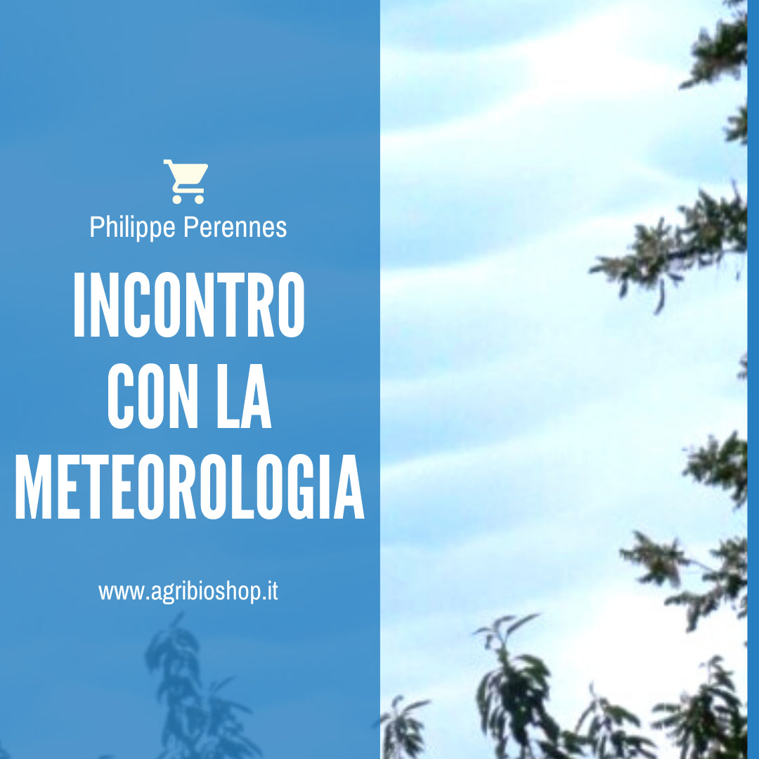 INCONTRO CON LA METEOROLOGIA - PHILIPPE PERENNES