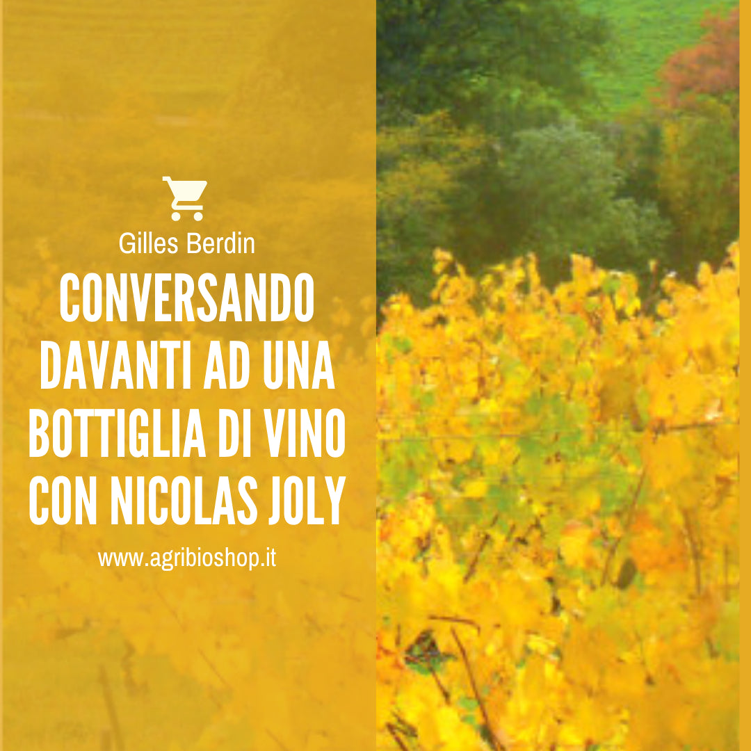 CONVERSANDO DAVANTI AD UNA BOTTIGLIA DI VINO CON NICOLAS JOLY - GILLES BERDIN