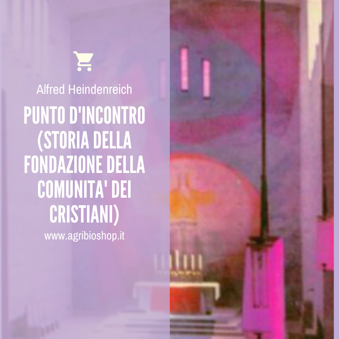 PUNTO D'INCONTRO (STORIA DELLA FONDAZIONE DELLA COMUNITA' DEI CRISTIANI)