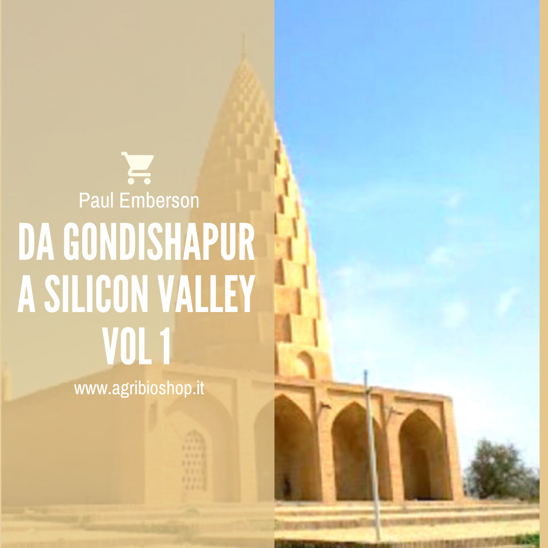 DA GONDISHAPUR A SILICON VALLEY VOL 1 - PAUL EMBERSON