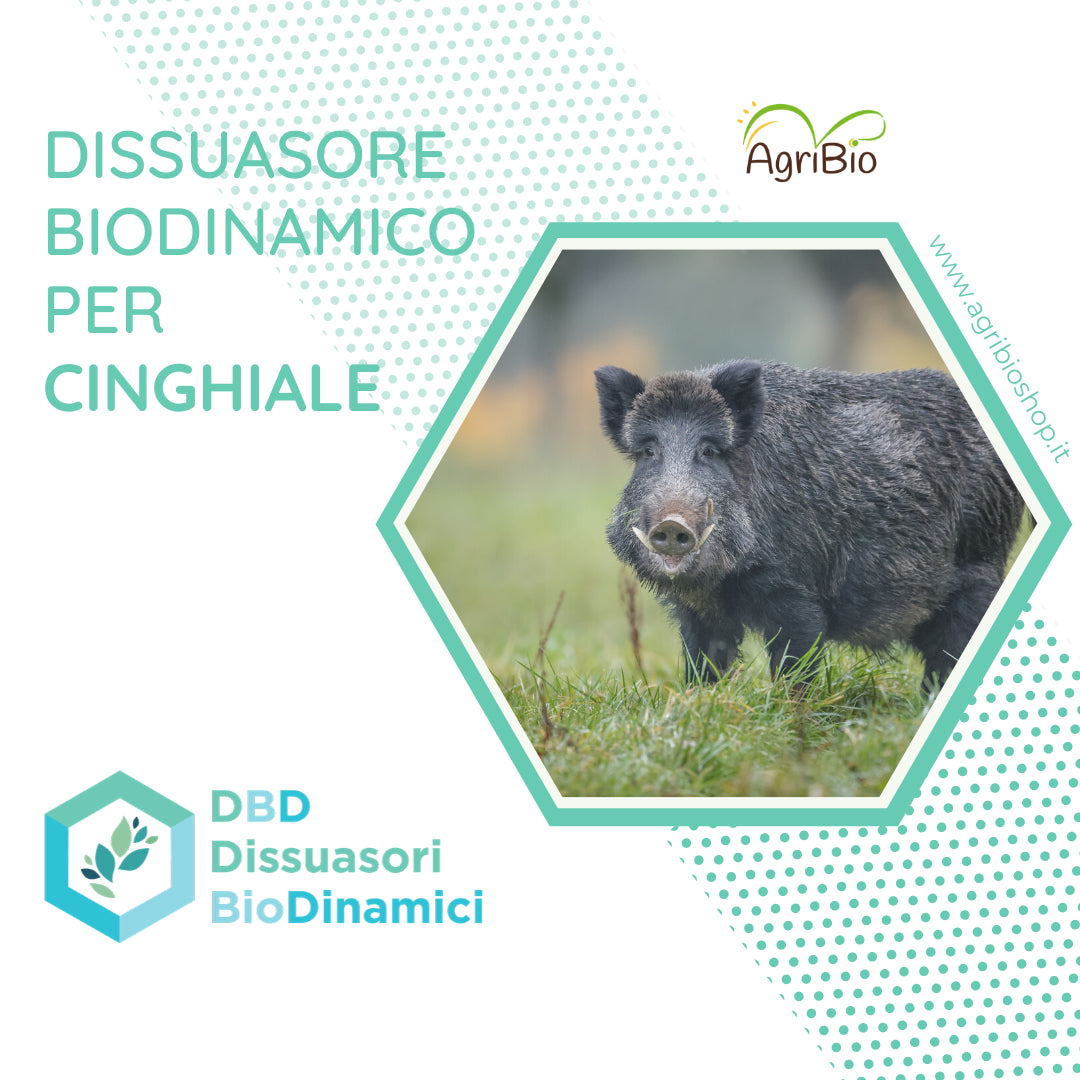 Dissuasore BioDinamico per il Cinghiale - 1 lt 