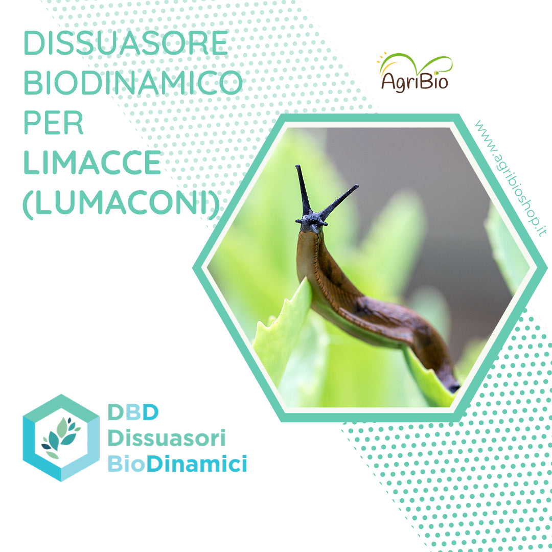 Dissuasore BioDinamico per Limacce - 1 lt 