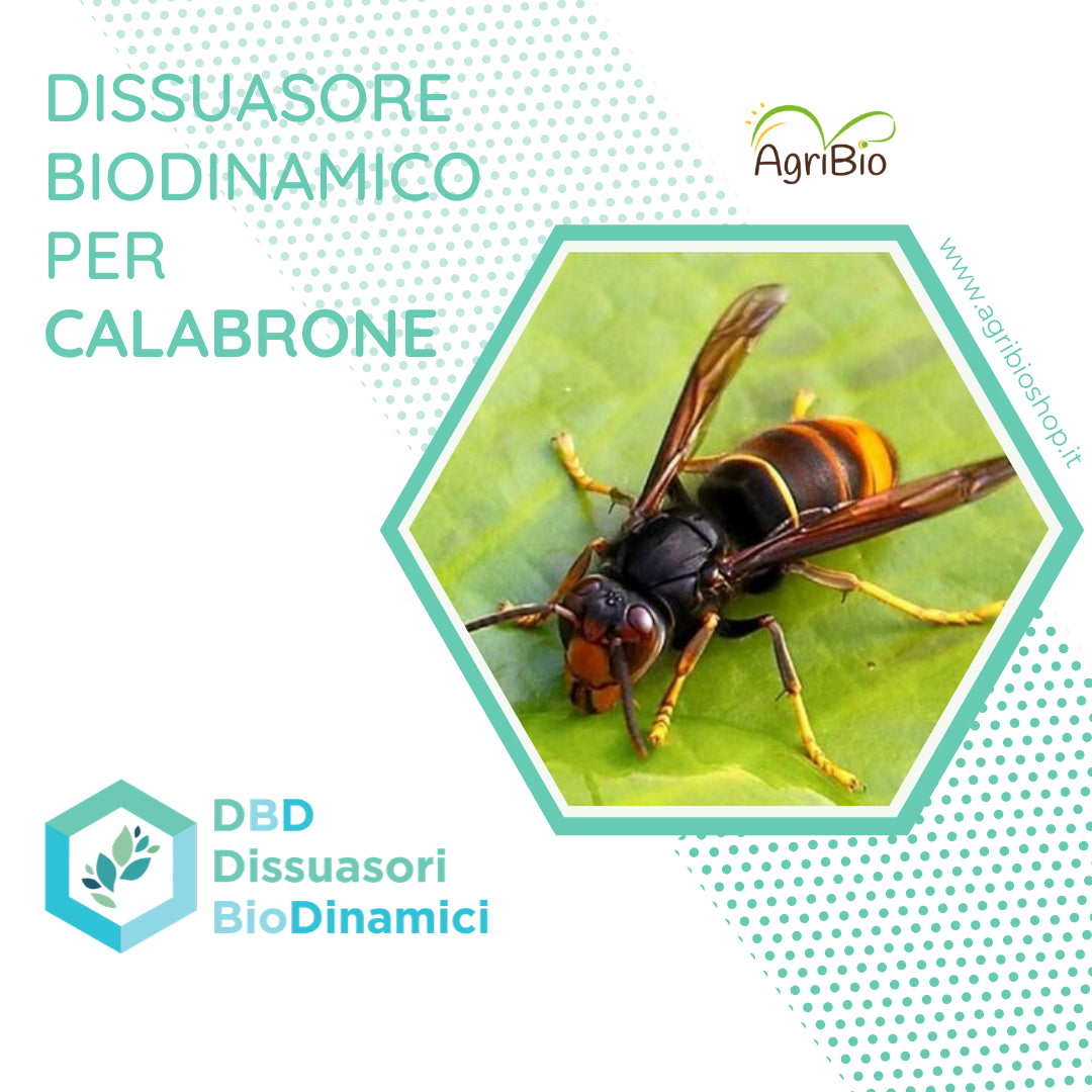 Dissuasore BioDinamico per Calabrone - 1 lt