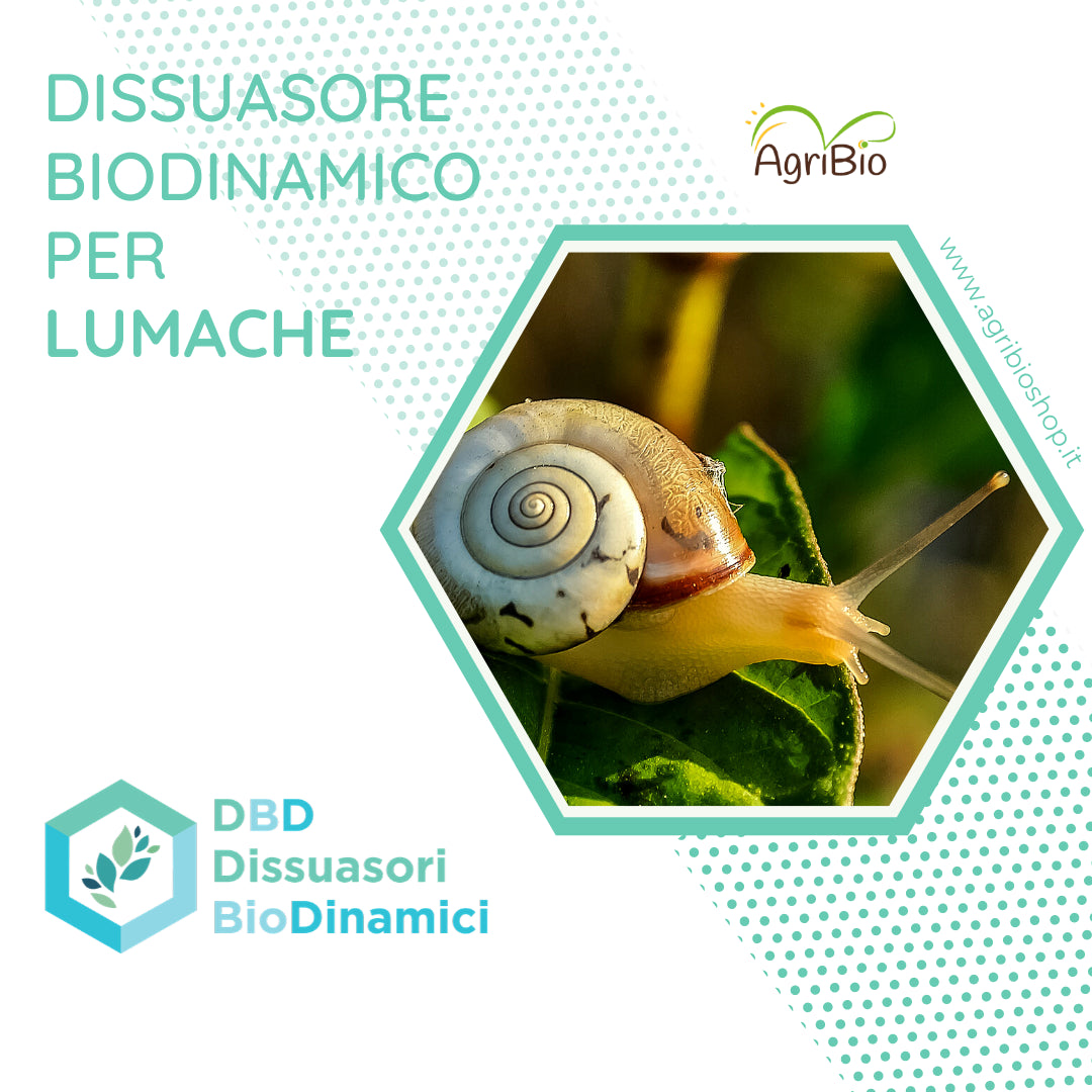 Dissuasore BioDinamico per Lumache - 1 lt