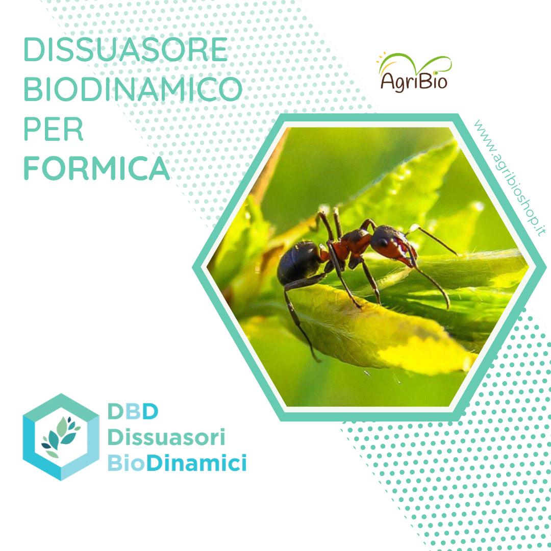 Dissuasore BioDinamico per Formica - 1 lt