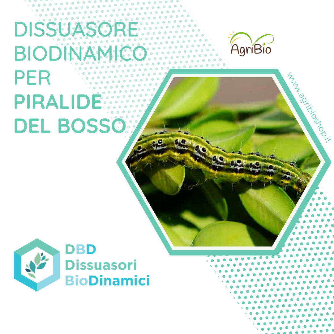 Dissuasore BioDinamico per Piralide del Bosso - 1 lt 