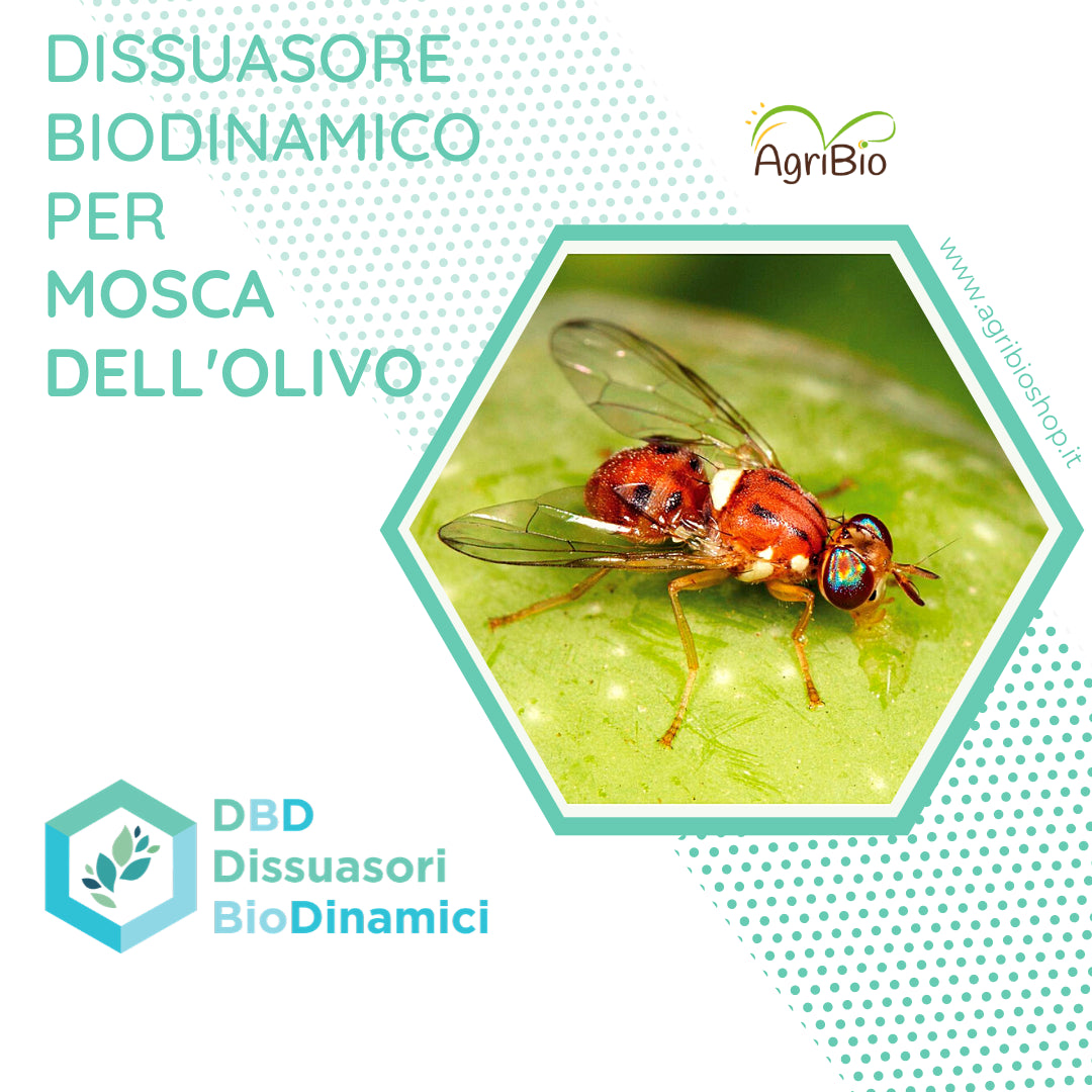 Dissuasore BioDinamico per Mosca dell'ulivo - 1L