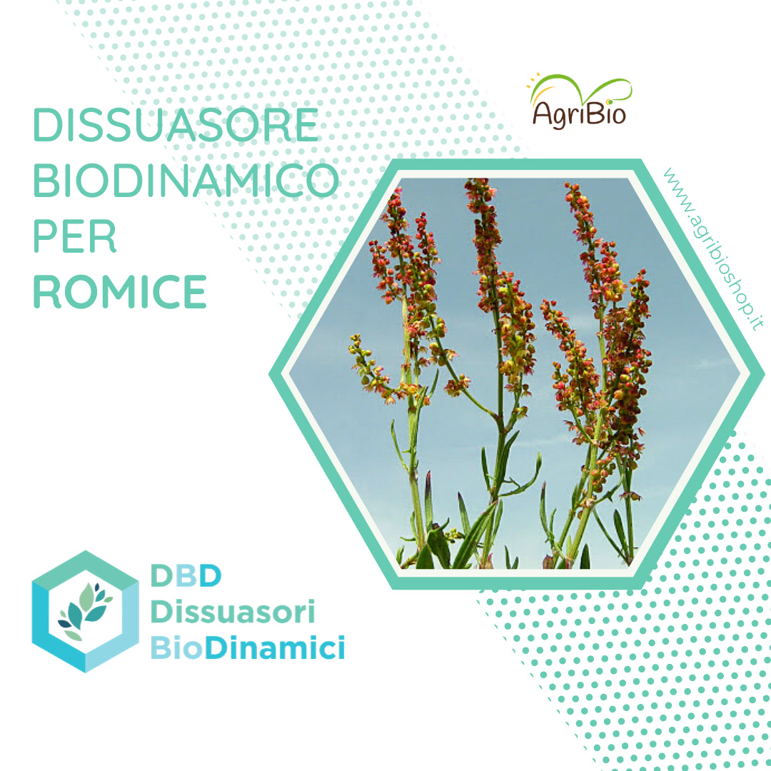 Dissuasore BioDinamico per Romice - 1 lt
