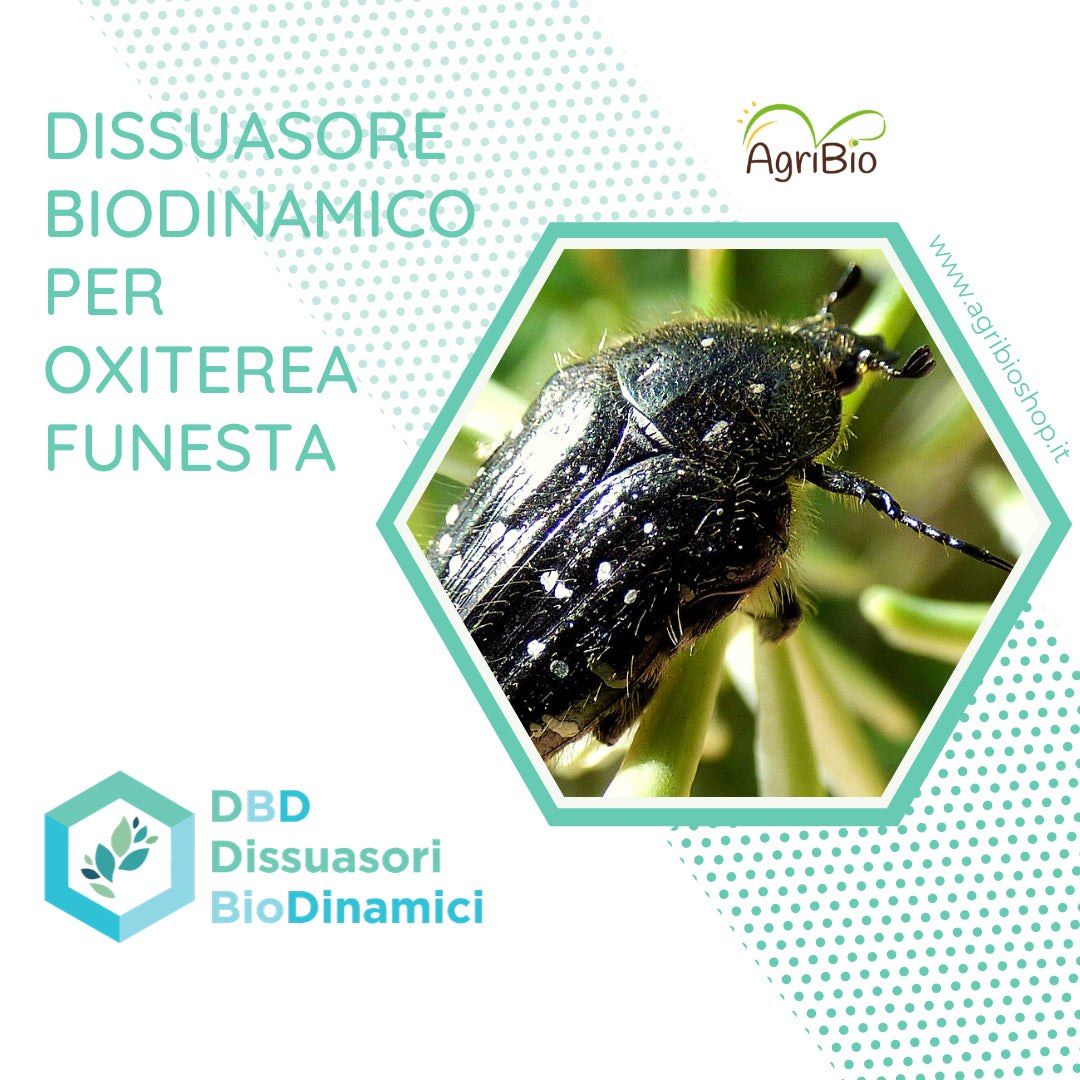 Dissuasore Biodinamico per Oxiterea funesta- 1 lt