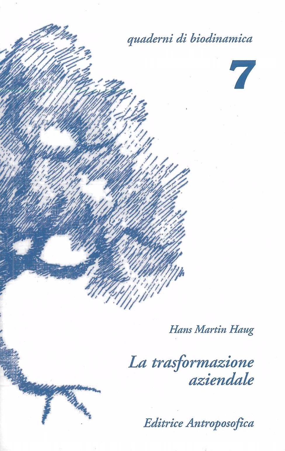 La trasformazione aziendale - Haug H.M.