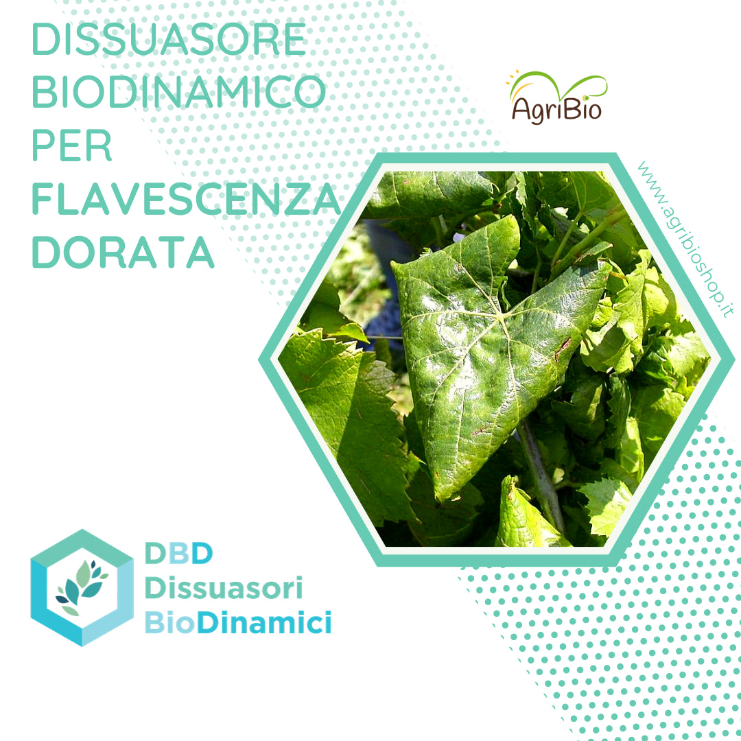 Dissuasore BioDinamico per la Flavescenza dorata- 1 lt 