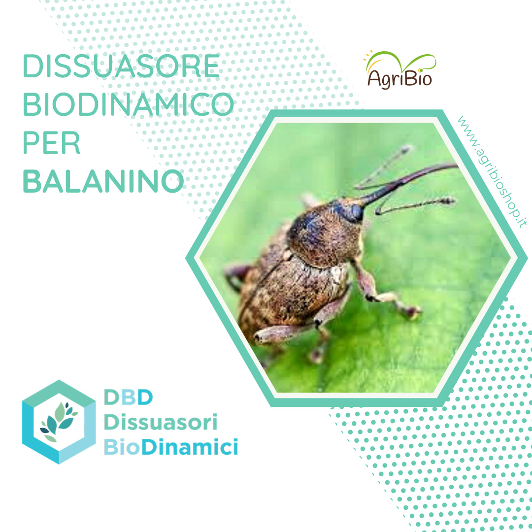Dissuasore BioDinamico per il Balanino - 1 lt