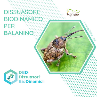 Dissuasore BioDinamico per il Balanino - 1 lt 