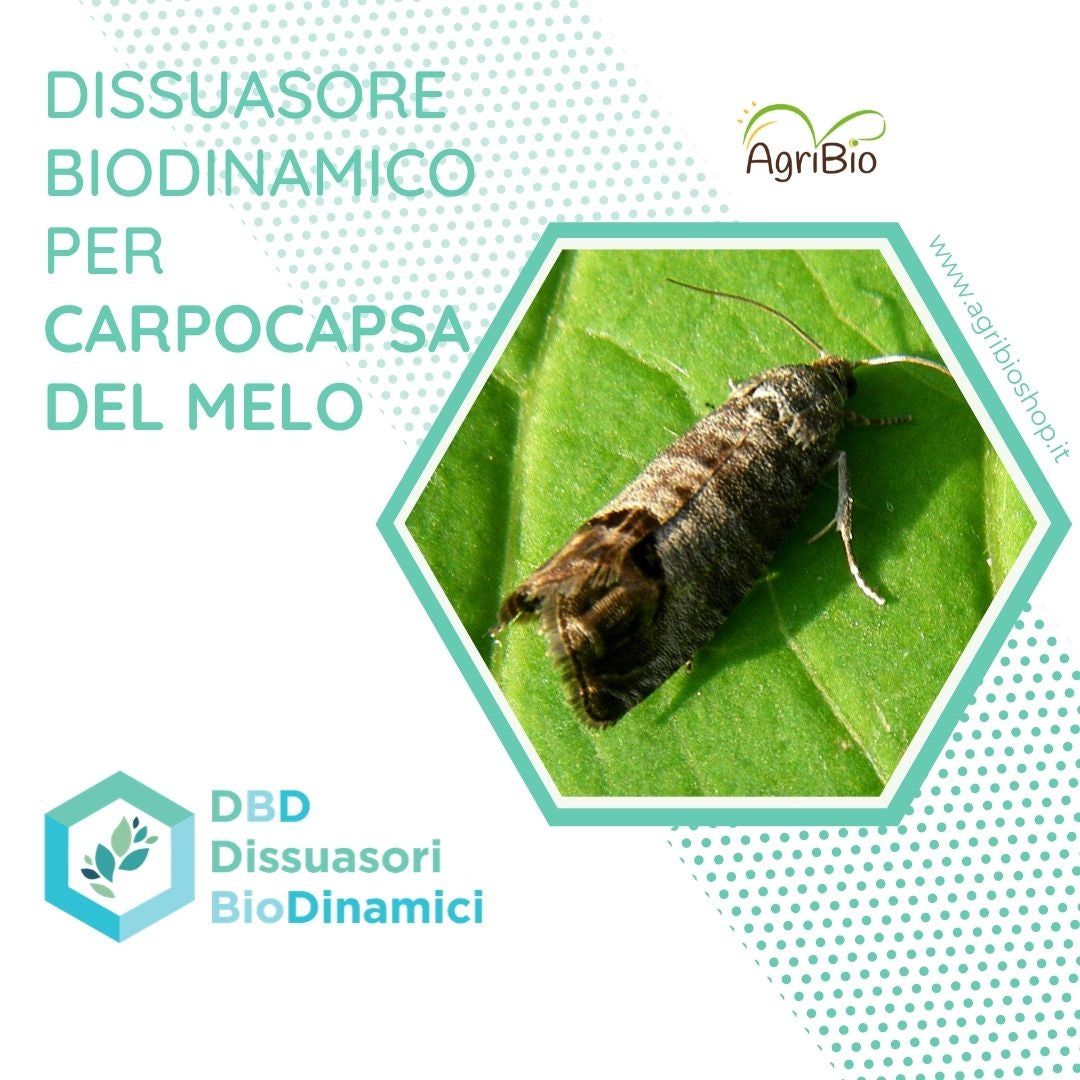 Dissuasore BioDinamico per la Carpocapsa del Melo - 1 lt 