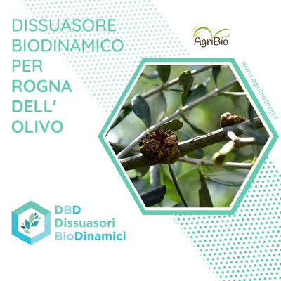 Dissuasore BioDinamico per la Rogna dell'ulivo - 1 lt 
