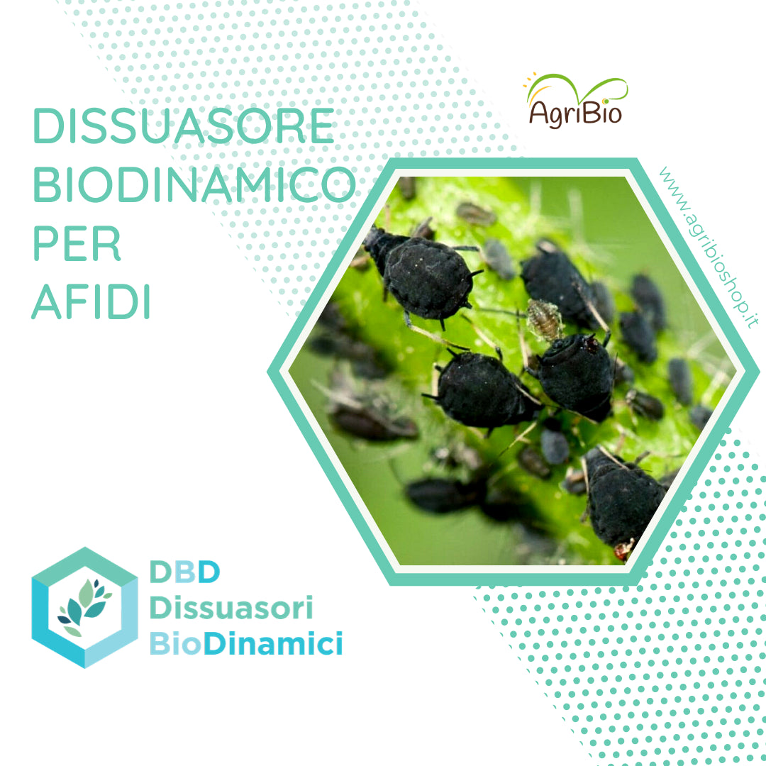 Dissuasore BioDinamico per Afide - 1L