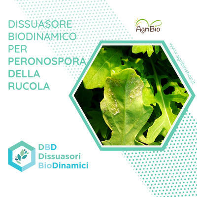 Dissuasore BioDinamico per peronospora della Rucola - 1 lt