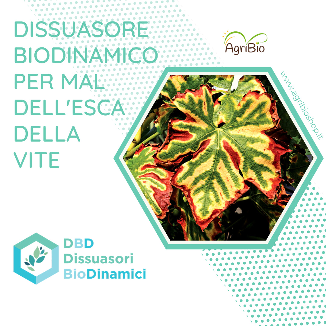 Dissuasore BioDinamico per la Mal dell'esca della vite- 1 lt