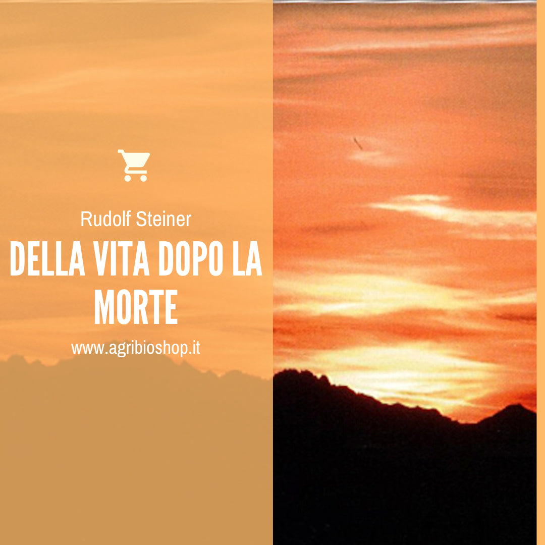 Della vita dopo la morte - Rudolf Steiner