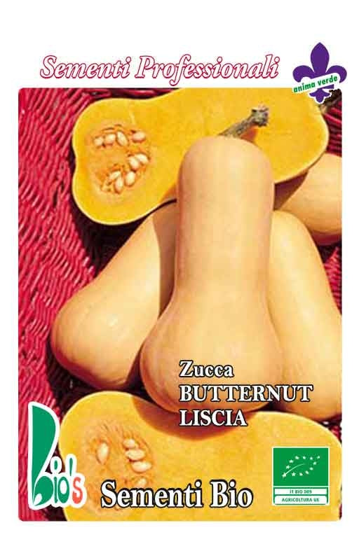 ZUCCA BUTTERNUT LISCIA - BIOSEME 4450