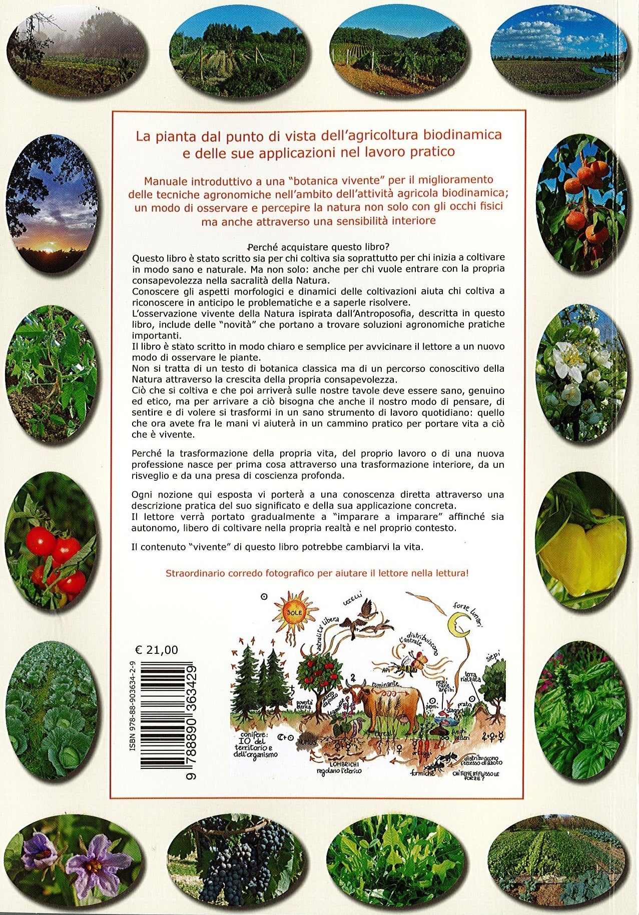 COLTIVARE CON L' AGRICOLTURA BIODINAMICA - PAOLO PISTIS