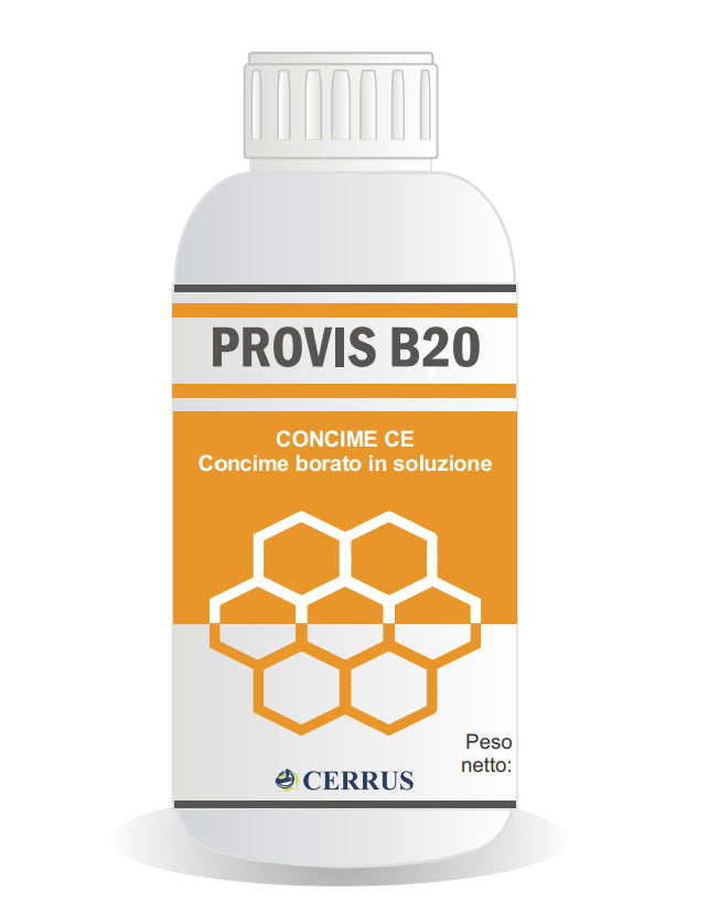 PROVIS B20