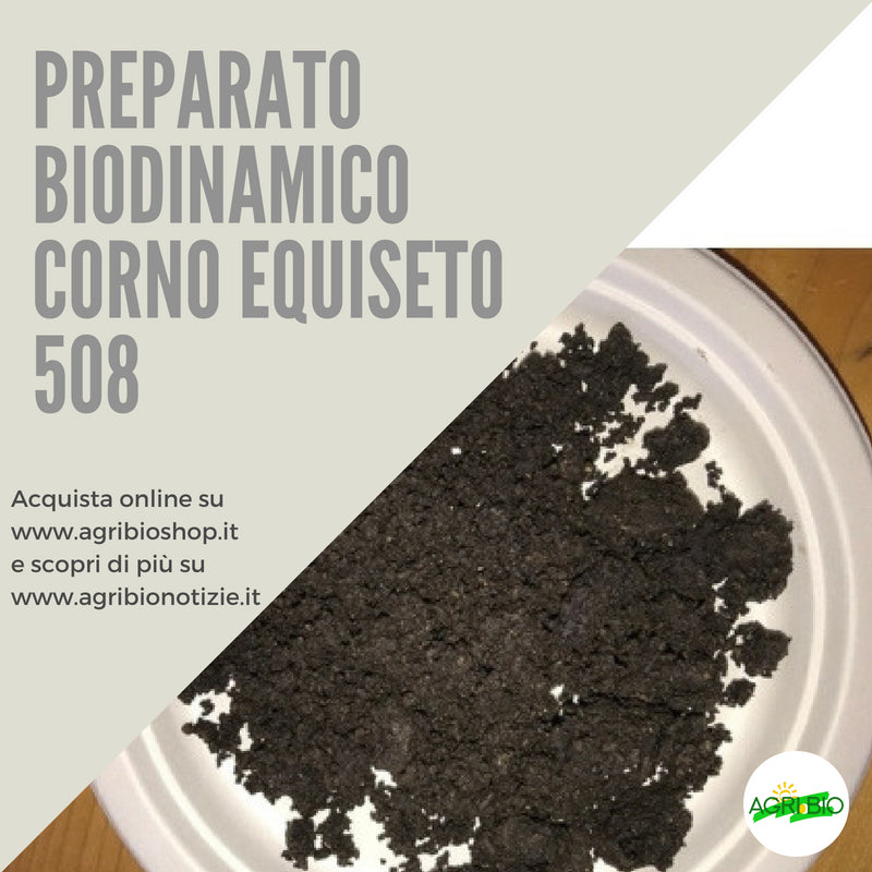 508 CORNO EQUISETO