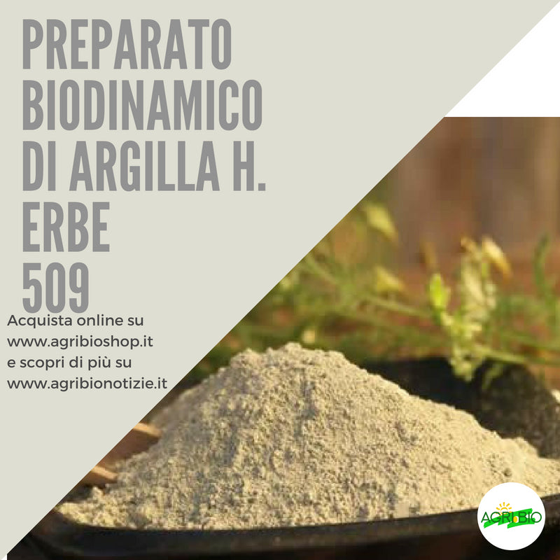 509 PREPARATO DI ARGILLA