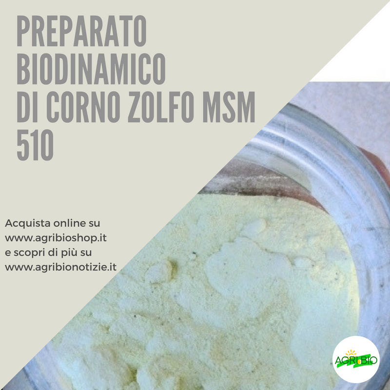 510 CORNO ZOLFO