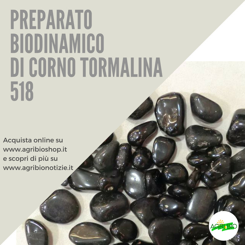 518 CORNO TORMALINA