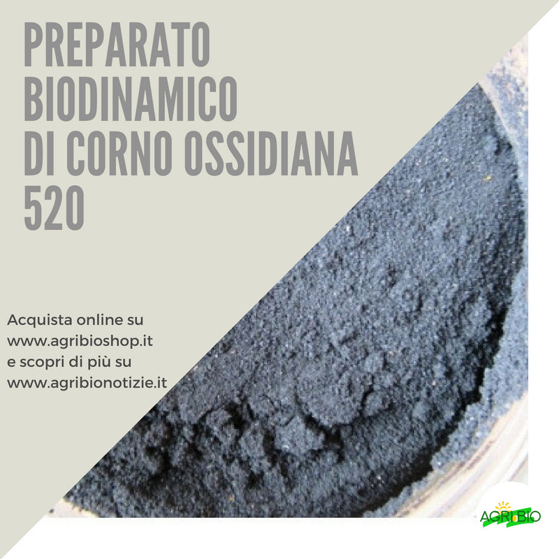 520 CORNO OSSIDIANA