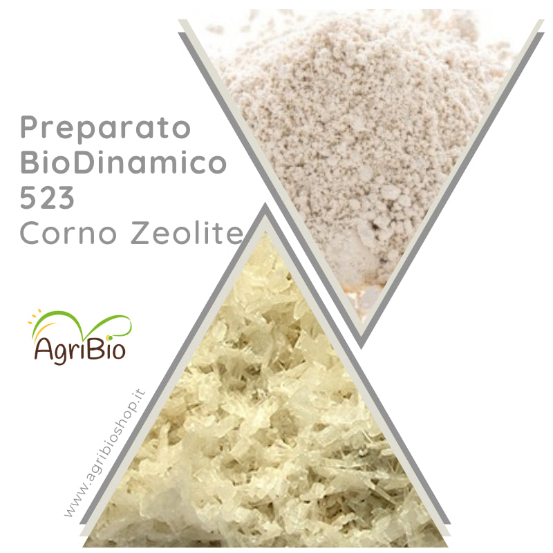 523 CORNO ZEOLITE