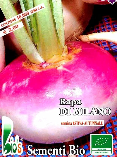 RAPA DI MILANO COLLETTO VIOLA - BIOSEME 3625