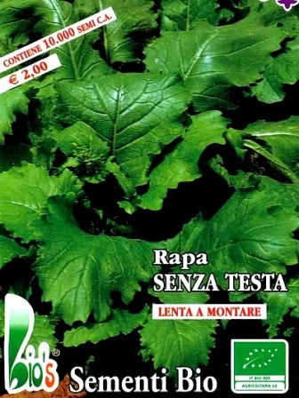 RAPA SENZA TESTA - BIOSEME 3628