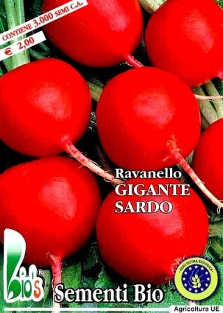 RAVANELLO GIGANTE SARDO ROSSO - BIOSEME 3701